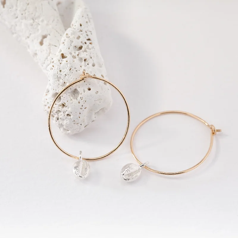 Drop Earrings for Concert Look -Gold Hoop Earrings with Salcombe Sea Shell