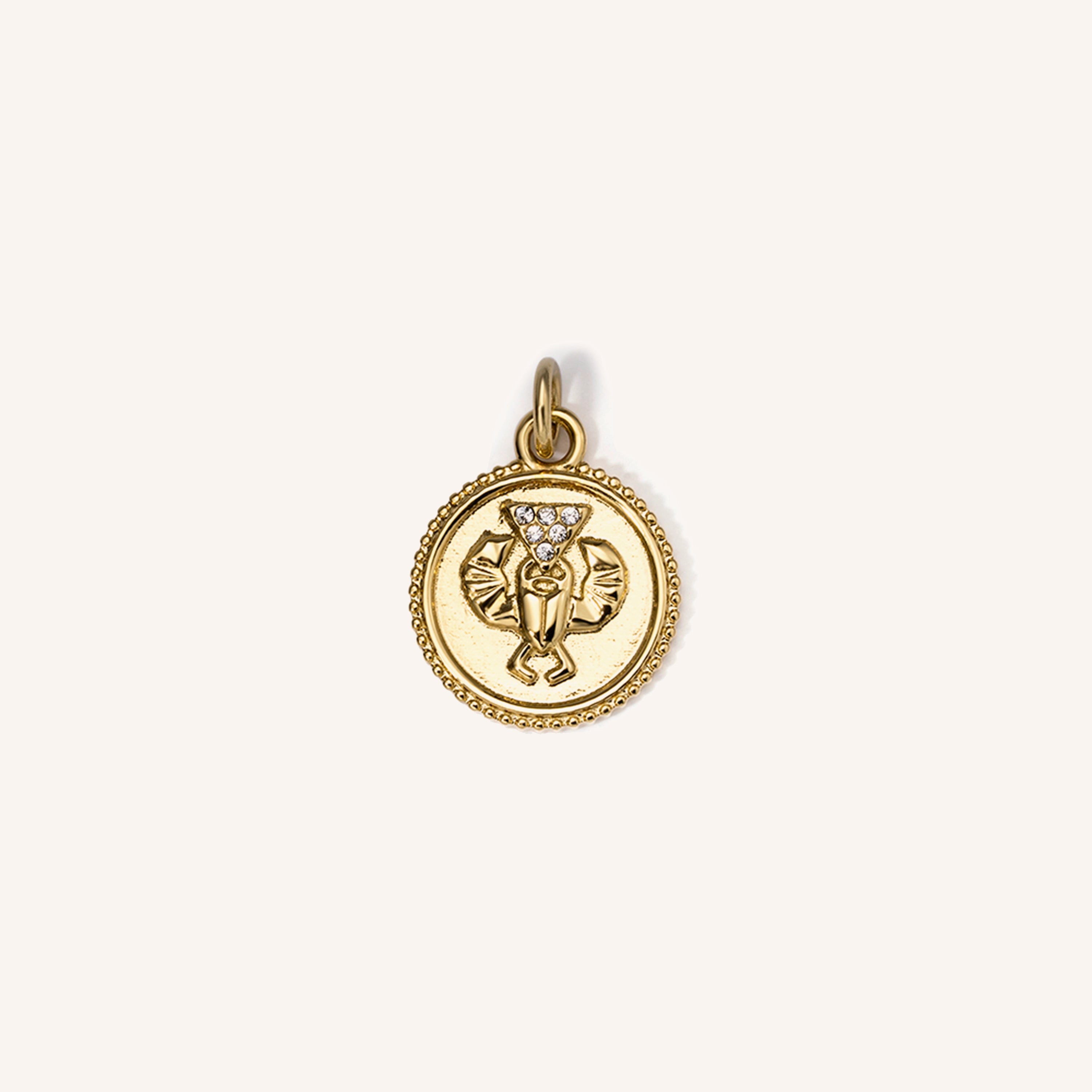 Best necklaces and pendants with minimalist pendants for a sleek, understated look-Scarab Coin Pendant